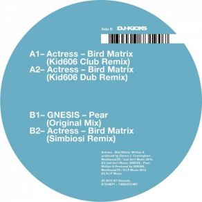 Download track Bird Matrix (Kid606 Club Remix) Actress