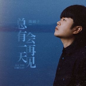 Download track 总有一天会再见 (和声伴奏版) 陈硕子