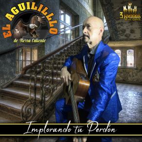 Download track Por Tu Cuenta El Aguilillo De Tierra Caliente