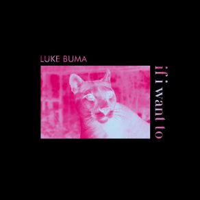 Download track If I Want To Luke Buma