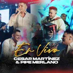 Download track Dime Que Si (En Vivo) Pipe Merlano