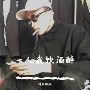 Download track 也期望过你能回过头看我（DJ版） 精彩琳琳