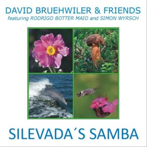 Download track Silevada's Samba (Rodrigo Botter Maio & Simon Wyrsch) David Bruehwiler