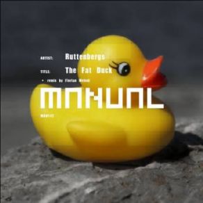 Download track The Fat Duck (Florian Meindl Remix) Ruttenbergs