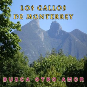 Download track Ya Acabaste Con Mi Vida Los Gallos De Monterrey