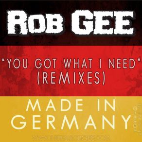 Download track You Got What I Need (Mr. Madness & General Guyble Remix) Rob GeeMr. Madness, General Guyble