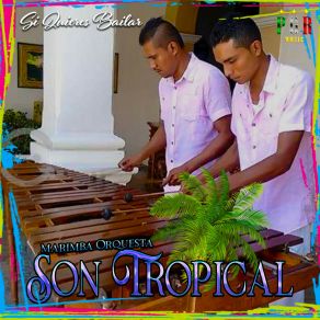 Download track Negrita Eae Marimba Orquesta Son Tropical