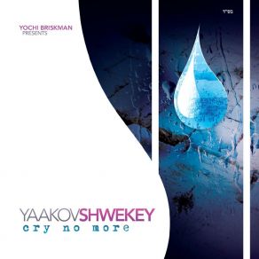 Download track Oleinu Yaakov Shwekey