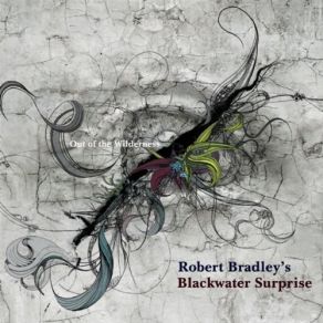 Download track Out Of The Wilderness Robert Bradley'S Blackwater Surprise