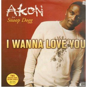 Download track I Wanna Love You (Instrumental)  Akon