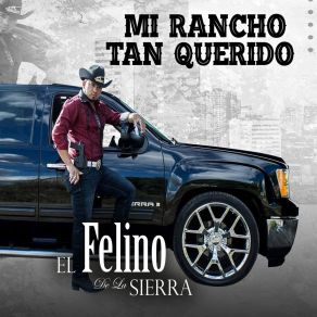 Download track El Sueño Del Polvito El Felino De La Sierra