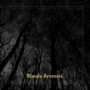 Download track Lonely Alauda Arvensis