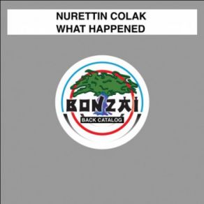 Download track What Happened (Original Mix) Nurettin Colak