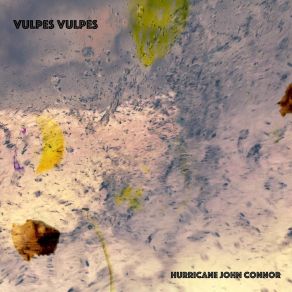 Download track Dry Rub Vulpes Vulpes