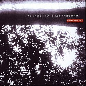 Download track Lunch Poem Ken Vandermark, Ab Baars Trio