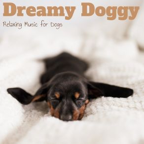 Download track Melody Dog Calming Music