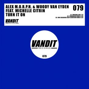 Download track Turn It On (Ron Creemers Deep Devotion Remix) Michelle Citrin, Alex M. O. R. P. H.Woody Van Eyden, Ron Creemers