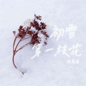 Download track 初雪第一枝花 (伴奏) 收集者