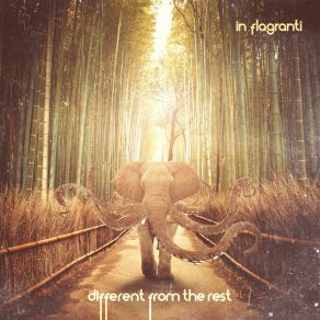 Download track Different From The Rest (Moscoman's Voodoo Disco Habit Mix) In Flagranti