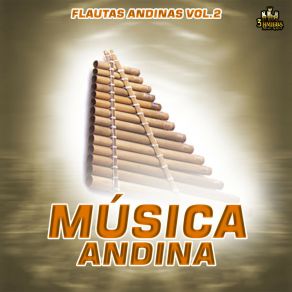 Download track Yo Navegare Flautas Andinas