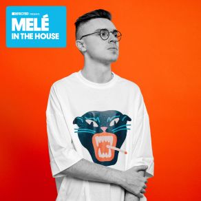 Download track Defected Presents Mele In The House (Continuous DJ Mix 1) Melé