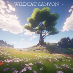 Download track Beyond Right And Wrong Wildcat Canyon