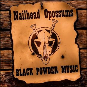 Download track Sick World Nailhead Opossums