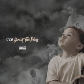 Download track Son Of The Plug StacksMusicofacelebrity