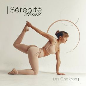 Download track Musique De Méditation Et De Yoga Les ChakrasDe Yoga