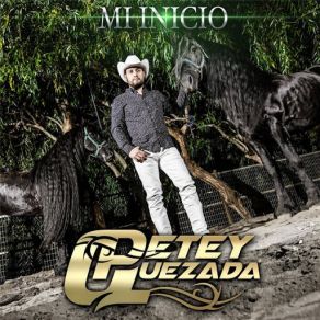 Download track Te Voy A Confesar Petey Quezada