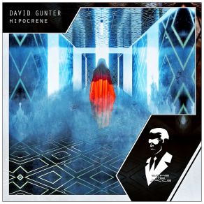 Download track Hipocrene (Radio Edit) David Gunter