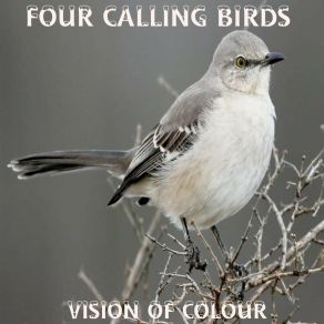 Download track Running Of The Deer Vision Of Colour