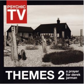 Download track Prayer For Derek Psychic TV