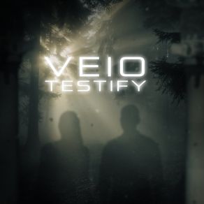 Download track Testify Veio