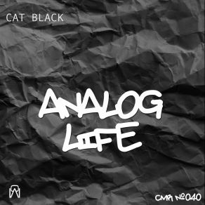 Download track Caribbean Sunset (Original Mix) Black Cat