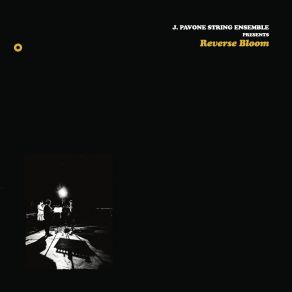 Download track Embers Slumber J. Pavone String Ensemble