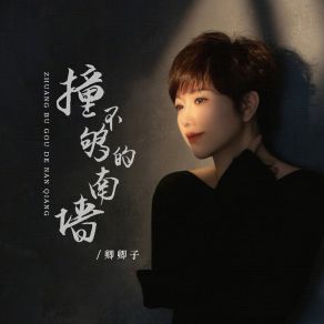 Download track 撞不够的南墙 (伴奏) 卿卿子