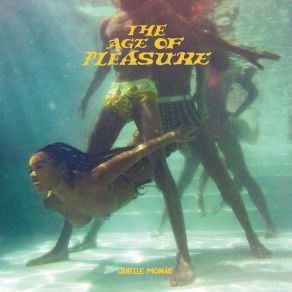 Download track Paid In Pleasure Janelle Monáe