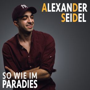 Download track Ich Denke Nur An Dich Alexander Seidel