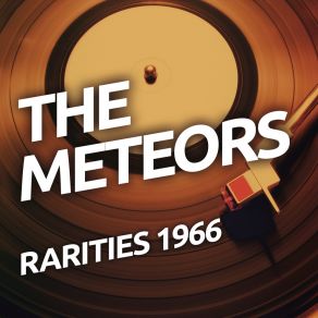 Download track Non Parliamone Più The Meteors