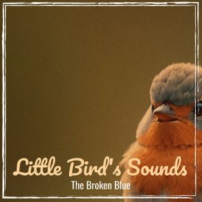 Download track Little Bird Broken Blue