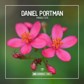 Download track Minister (Extended Mix) Daniel Portman