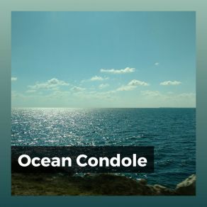 Download track Ocean Connect Streaming Waves