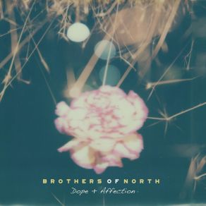 Download track Tame Brothers Of North