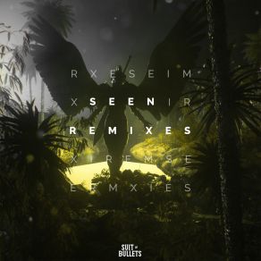 Download track Seen (Tenka & Skan Remix) The FifthGuysTenka, SKAN, Veronica Bravo