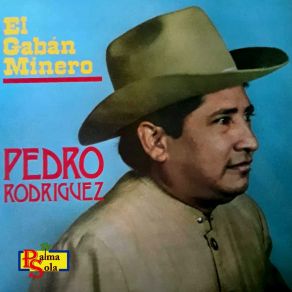 Download track Maestro Arpista De Mi Tierra Pedro Rodriguez