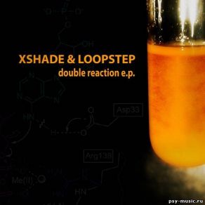 Download track Inside The Madness Loopstep, Xshade