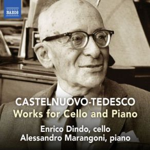 Download track Cello Sonatina, Op. 130: II. Andantino Grazioso E Un Poco Malinconico Enrico Dindo