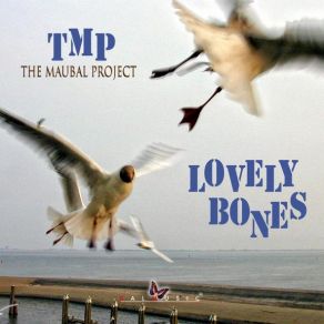 Download track Road To Road TMP - The Maubal Project