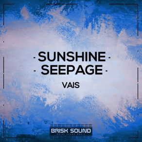 Download track Seepage (Original Mix) Vais